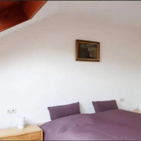 Ferienwohnung Herkules קאסל